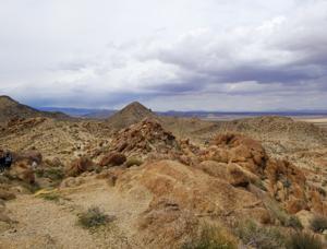 49 Palms Oasis Rugged Trail 2